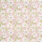 View BLOSSOM 211