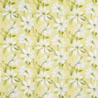 View PRIMROSE 509