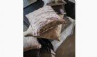 View JUPITER COLLECTION