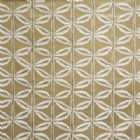 View OCHRE 006