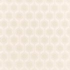 View PUTTY 027