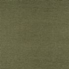 View OLIVE 618