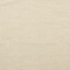 View CANVAS 142