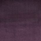 View GRAPE 808