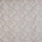 View SILVER BIRCH 976