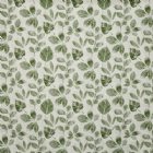 View IVY 645