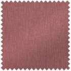 View RASPBERRY 19