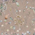 View CORAL CLOUD APRICOT