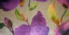 View ORCHID