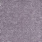 View AMETHYST