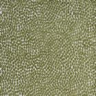 View PERIDOT