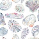 View ABALONE