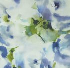 View BLUEBELL