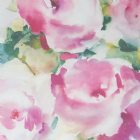 View PEONY