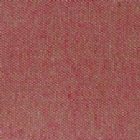 View RASPBERRY