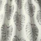View FEATHER