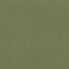 View OLIVE