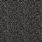 View EBONY