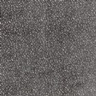 View METEORITE