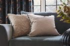 View JARDINE COLLECTION
